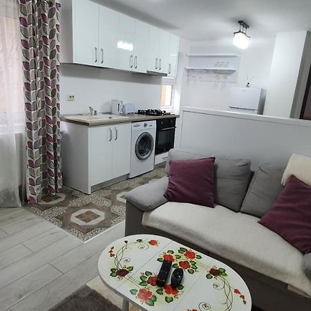 Апартаменти Nehoiu Apartament Екстер'єр фото